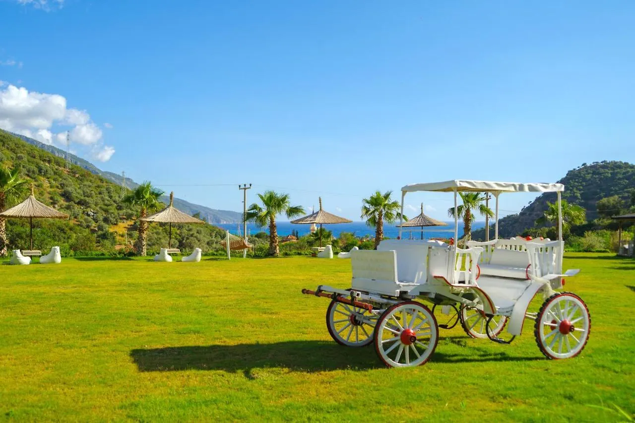 Manaspark Deluxe Hotel Oludeniz 4*,  Turkey